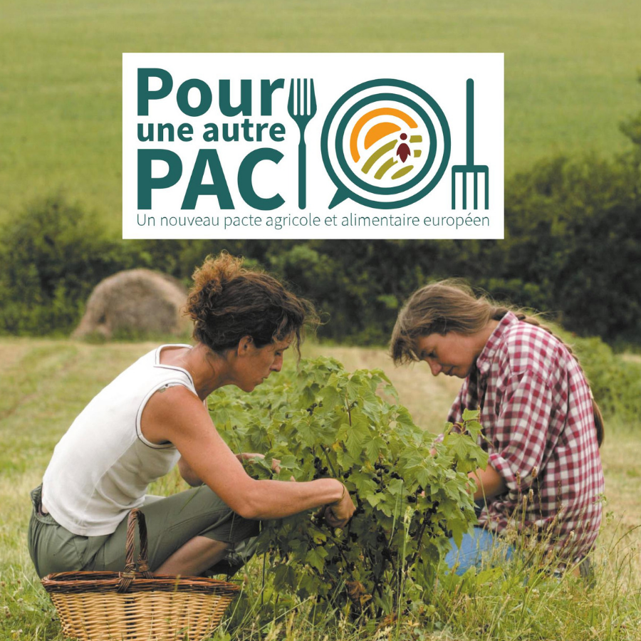 Pour une autre PAC : réfléchir au modèle agricole et alimentaire de demain