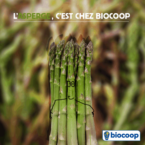 Les légumes du mois d'avril : les asperges Les légumes du mois d'avril : les asperges